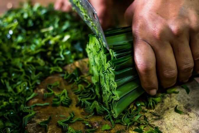 Maydanozun bilinmeyen yararları Maydanozun bilinmeyen yararları