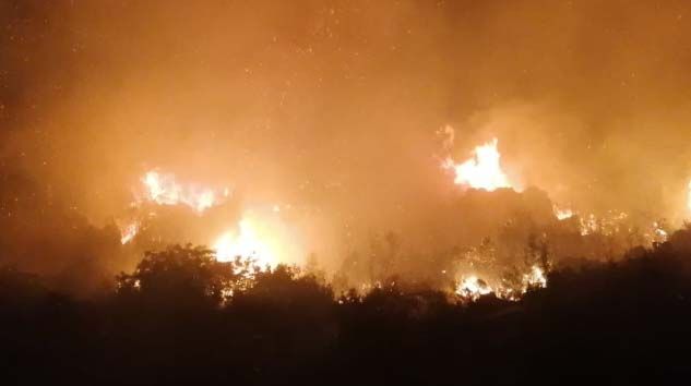 Antalya’da gece başlayan yangında 5 hektarlık ormanlık alan zarar gördü