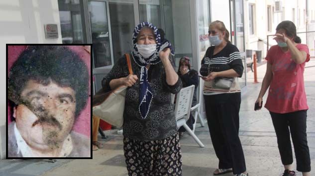 Arabada giderken arının soktuğu Salih Yılmaz öldü