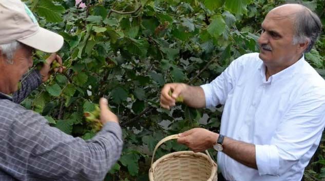 Fındık fiyatını Cumhurbaşkanı Erdoğan açıklayacak