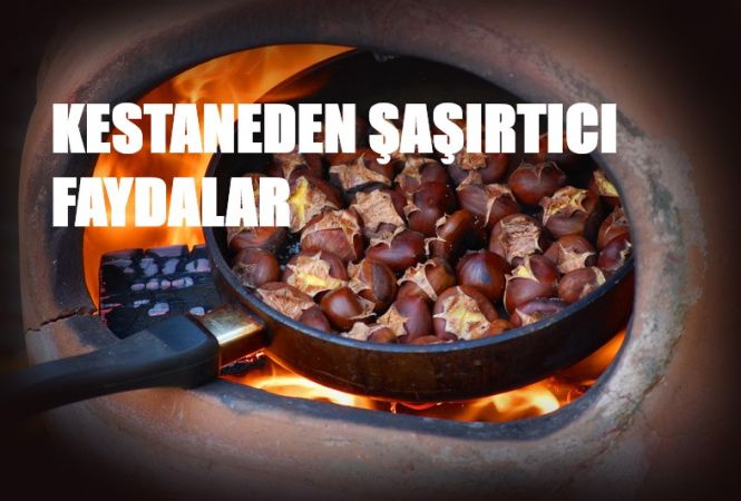 Kestanenin az bilinen faydaları
