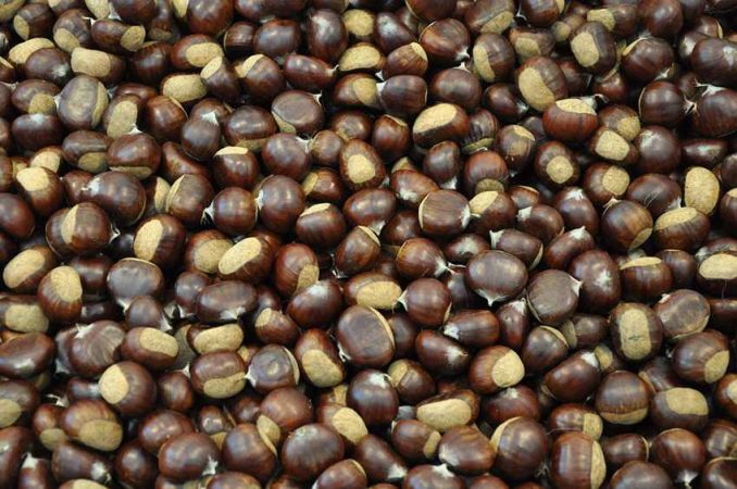 Kestanenin az bilinen faydaları