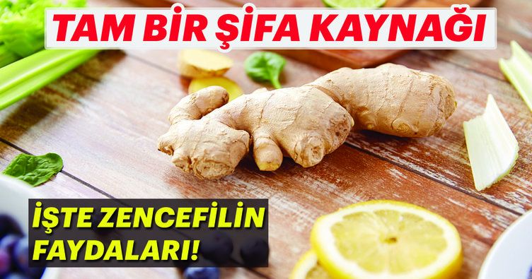 Zencefilin faydaları nelerdir?