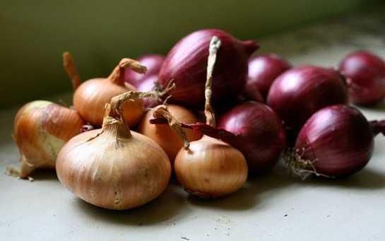 Zayıflatan soğan kür nasıl hazırlanır?