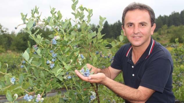 Yaban mersininin kilosu 60 TL