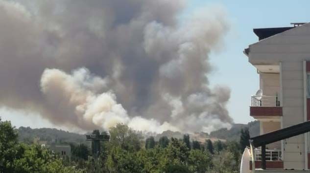 Tarihi Gelibolu Yarımadası yine alevlere teslim oldu