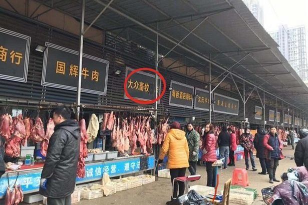 Son dakika… Durum giderek kötüleşiyor,Bölgeden korkunç fotoğraflar geliyor