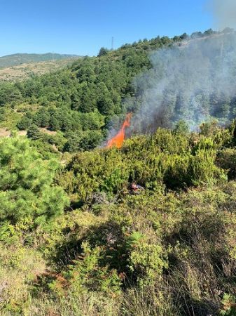 Zonguldak’ta orman yangını Zonguldak’ta orman yangını