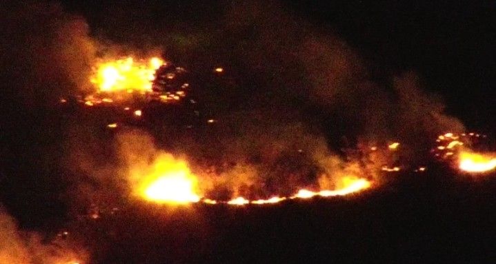 Bulgaristan’daki orman yangını Türkiye sınırına ulaştı