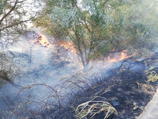 Yangın seferber etti