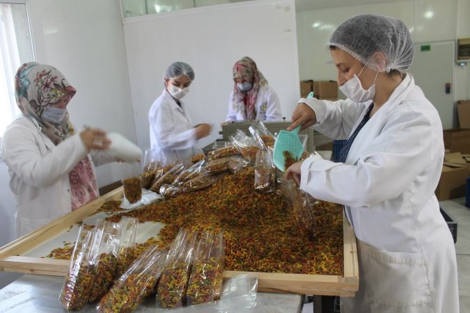 Vücudun ihtiyacına göre sebze püreli makarna üretiyor