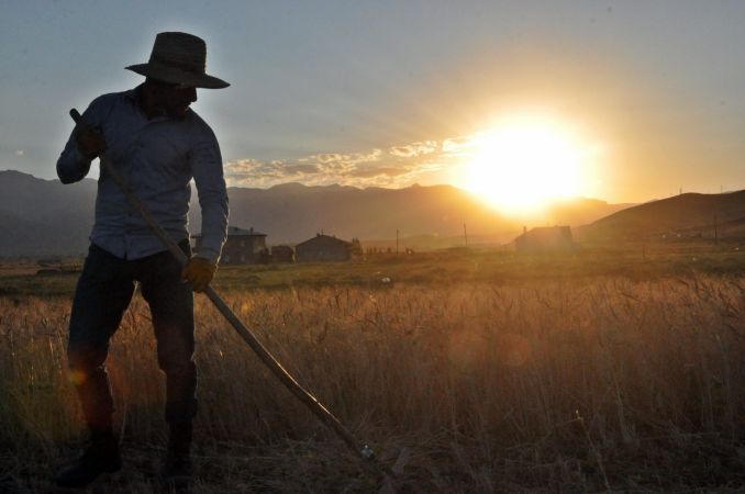 Kavurucu sıcakta kış hazırlığı