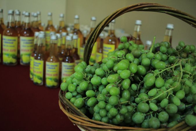 Elazığ’da “Koruktan Gelen Şifa” projesi