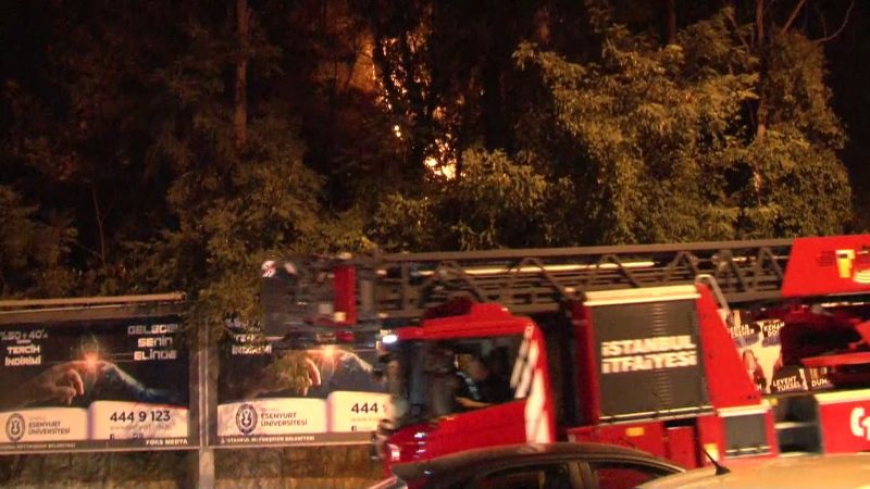 Emirgan Korusu’nda yangın