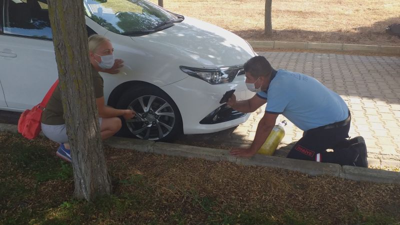 İnatçı kedi çileden çıkardı