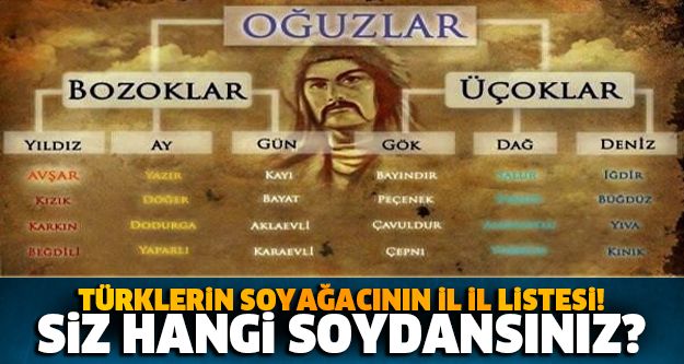 Türkler’in soy ağacının il il listesi!