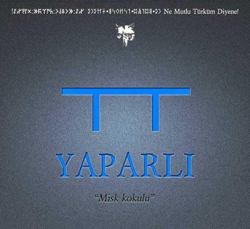 Türkler’in soy ağacının il il listesi!