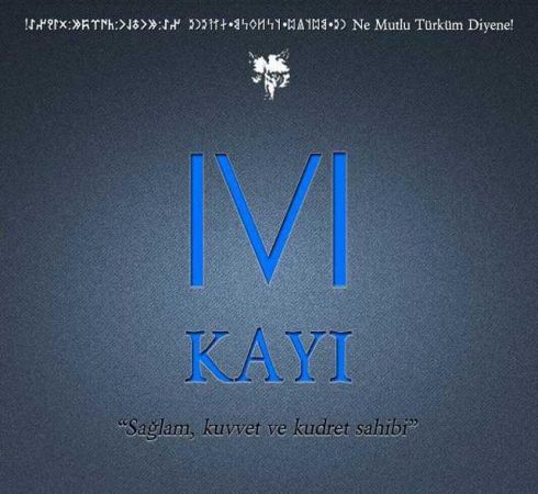 Türkler’in soy ağacının il il listesi!