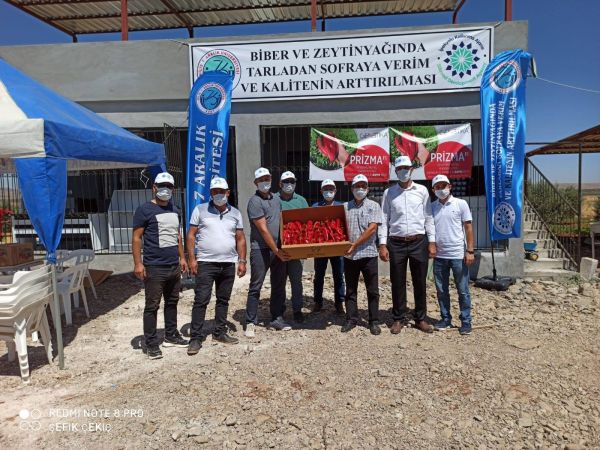 ‘Tarladan sofraya’ proje