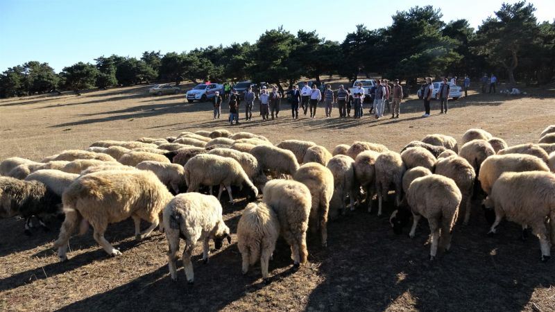 Türkiye’de bir ilk, 4 bin çiftçi başvurdu