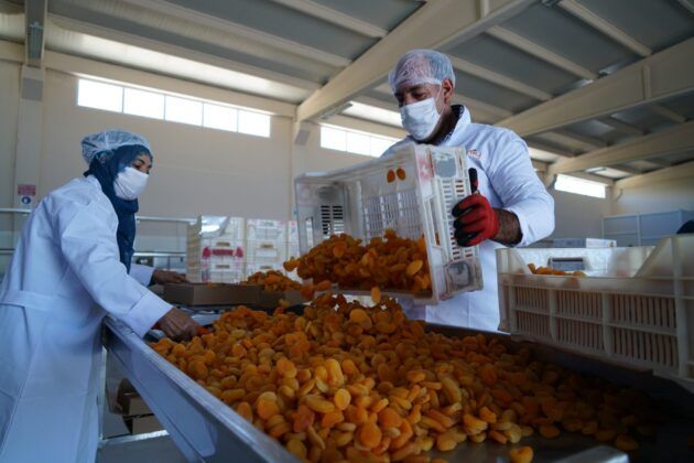 Pilotluğu bıraktı, devlet desteğiyle kendi işinin patronu oldu