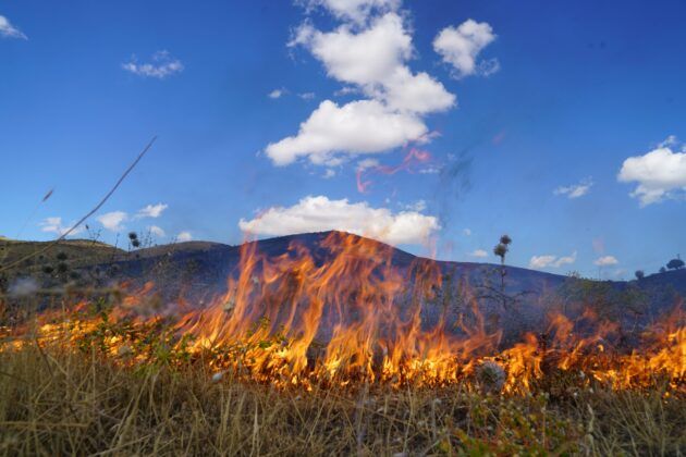 40 dönüm otluk alan kül oldu