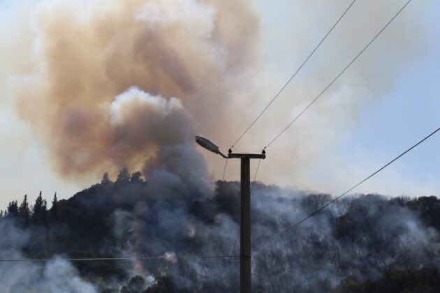 Kocaeli’de orman yangını
