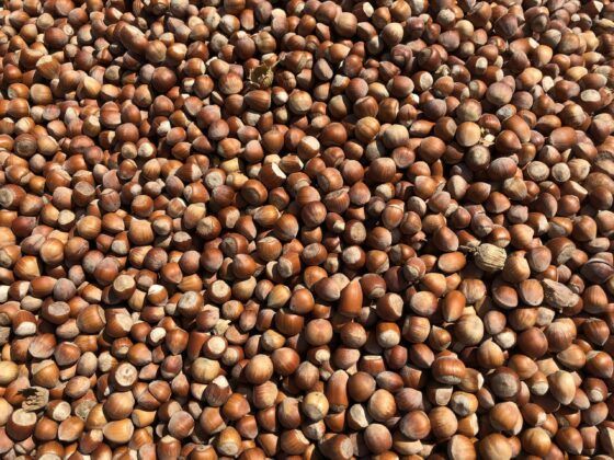 Piyasada fındık yok, yok satıyor