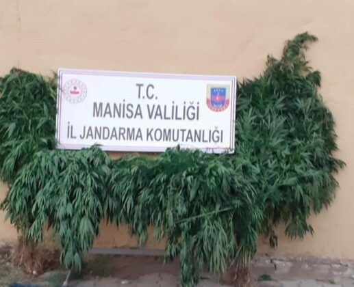 Manisa’da büyük uyuşturucu operasyonu !