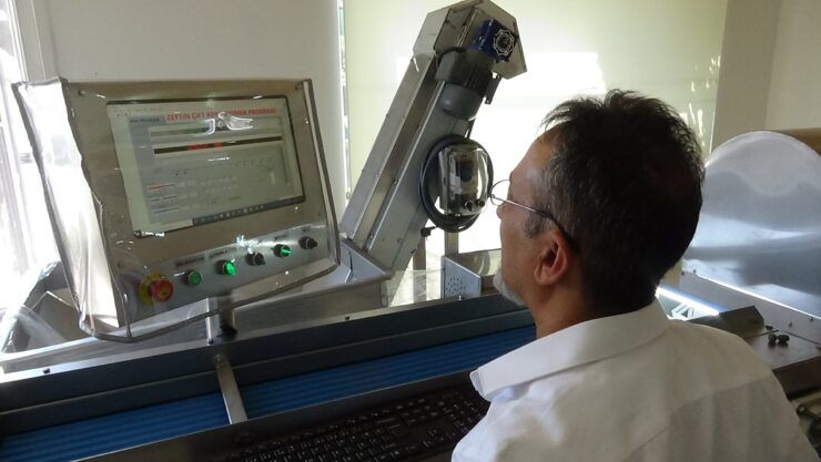 Zeytinde mucize buluş