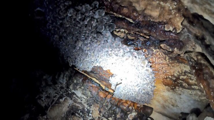 Mağaraya girdiklerinde gözlerine inanmadılar