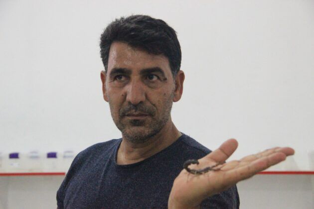 Kara Akrep Tesisi Kurdu Dünyanın En Pahalı Akrebini Üretiyor