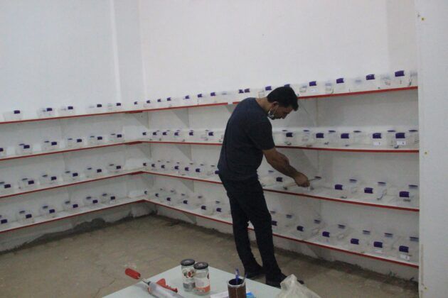 Kara Akrep Tesisi Kurdu Dünyanın En Pahalı Akrebini Üretiyor