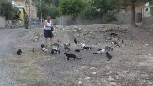 Hayvan sevginin böylesi