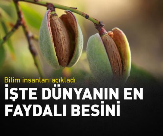 Dünyanın en faydalı besini olduğu ortaya çıktı!