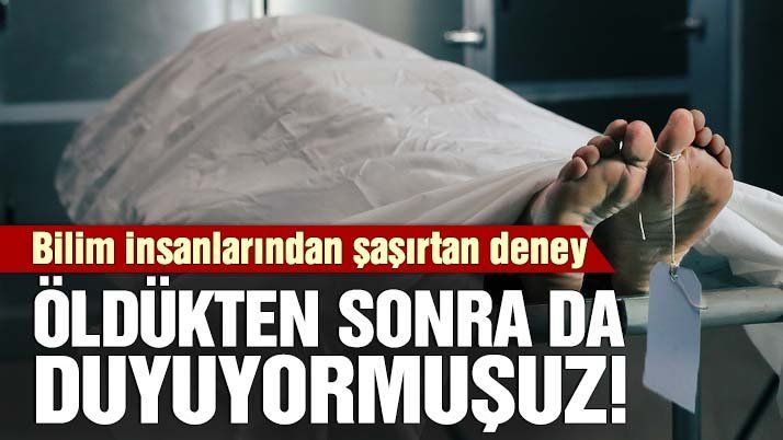 Öldükten sonra da duyuyormuşuz!