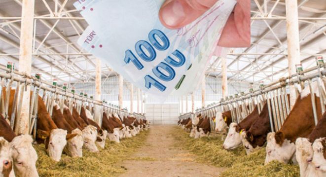 2020 Hayvancılık Kredisi Başvurusu