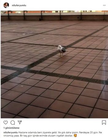 Domuz gribi teşhisi konulan şarkıcı