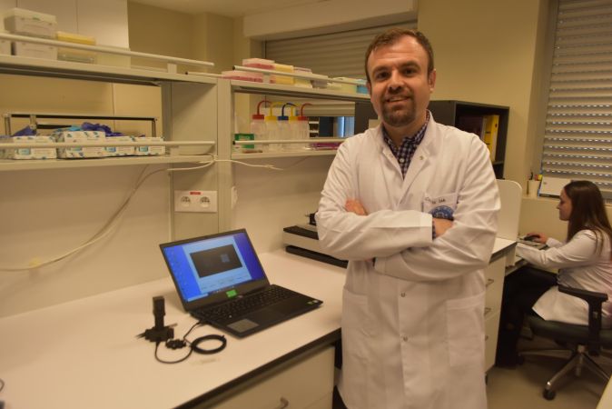 Domuz gribini 5 dakikada tespit eden cihaz geliştirdiler