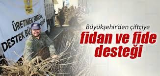 Büyükşehir’den çiftçilere fide desteği Büyükşehir’den çiftçilere fide desteği