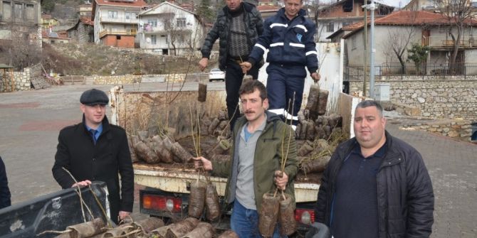 Büyükşehir’den çiftçilere fide desteği Büyükşehir’den çiftçilere fide desteği