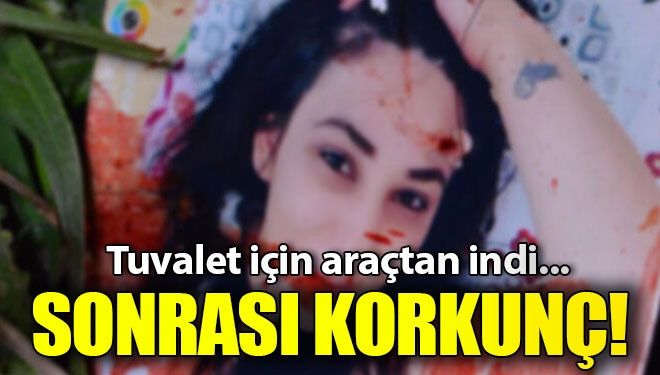 Tuvalet için araçtan indi! Sonrası korkunç