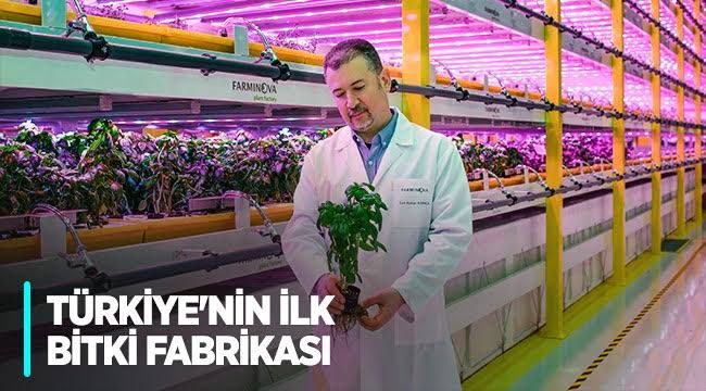 Türkiye’nin ilk bitki fabrikası kuruldu!