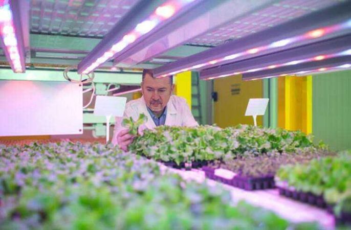 Türkiye’nin ilk bitki fabrikası kuruldu!