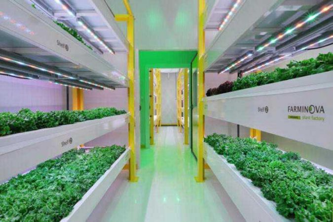 Türkiye’nin ilk bitki fabrikası kuruldu!