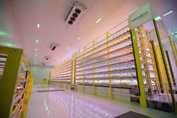 Türkiye’nin ilk bitki fabrikası kuruldu!