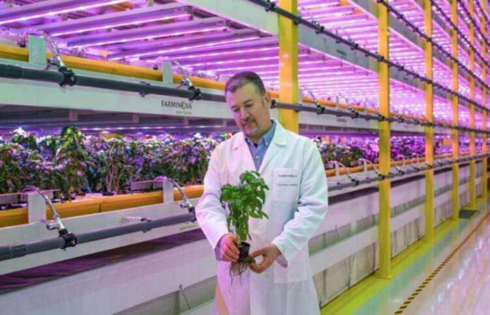 Türkiye’nin ilk bitki fabrikası kuruldu!