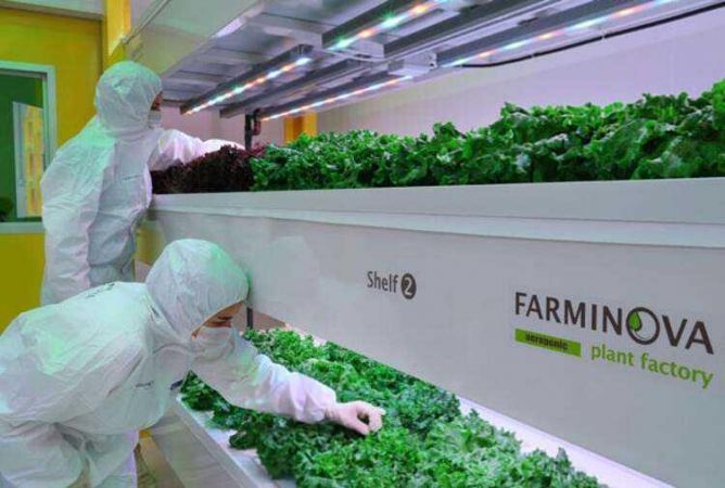 Türkiye’nin ilk bitki fabrikası kuruldu!