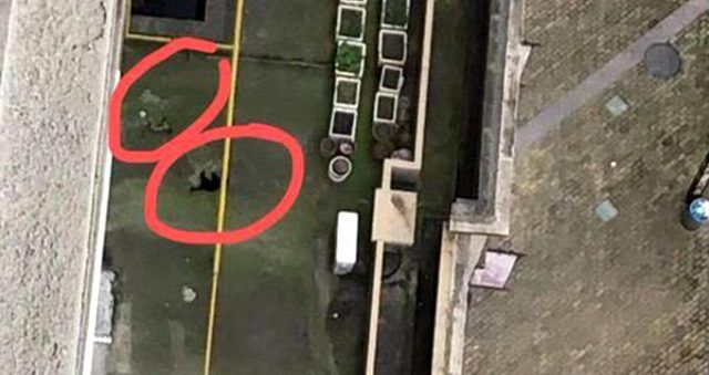 Çin’in Vuhan kentinden yayılan koronavirüs evcil hayvanların öldürülmesine yol açtı