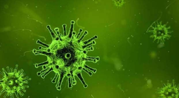 Çin’de yeni tip koronavirüs nedeniyle can kaybı 425’e çıktı